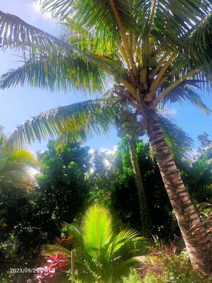 Douceur Des Hauteurs Bas De Villa, Piscine Privee Sainte-Luce Exteriér fotografie